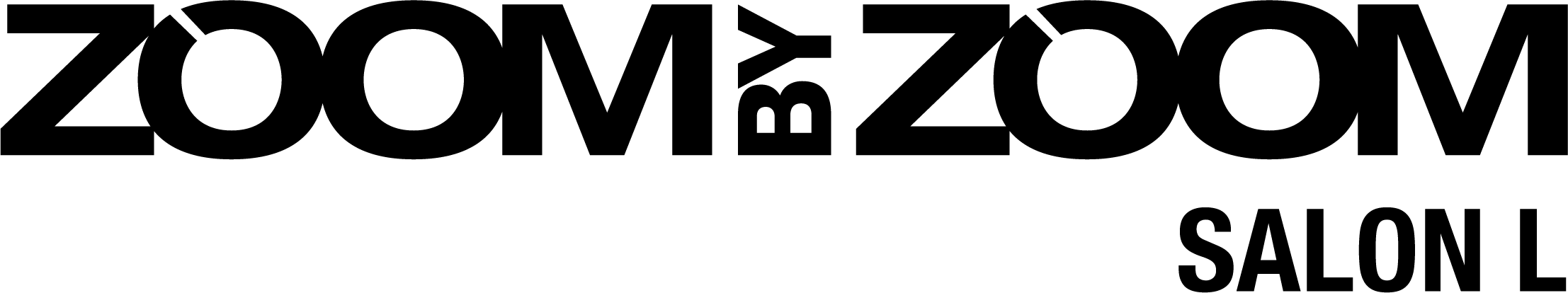 Logo for Zoom by Zoom Salon L
